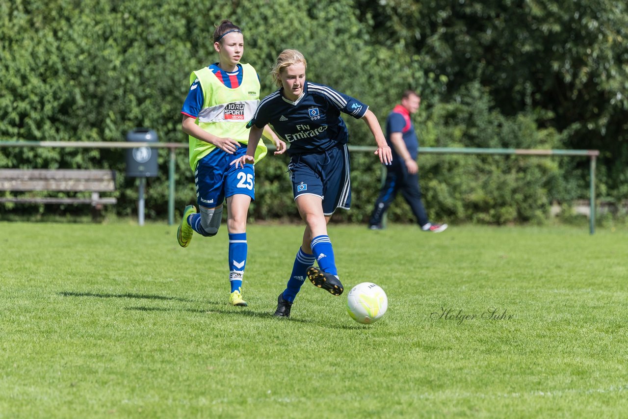 Bild 227 - B-Juniorinnen VfL Pinneberg - HSV : Ergebnis: 1:4